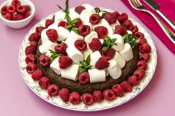 마 시 멜로와 라즈베리 케이크 — 스톡 사진