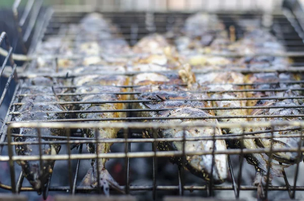 Makrele mit Knoblauch und Rosmarin auf dem Grill — Stockfoto