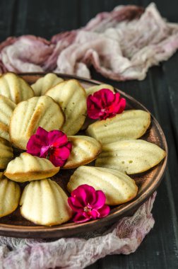Fransız kurabiyeleri Madeleine
