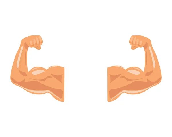 Brazos Musculares Aislados Sobre Fondo Blanco Concepto Bodybuiding Ilustración Vectorial — Archivo Imágenes Vectoriales