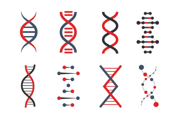 Conjunto Ícones Adn Forma Diferente Forma Código Genético Hélice Humana — Vetor de Stock