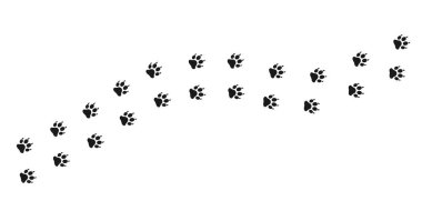 Kedi patikası. Kedi ya da köpek pençesi izi. Hayvan ayak izleri yolu.