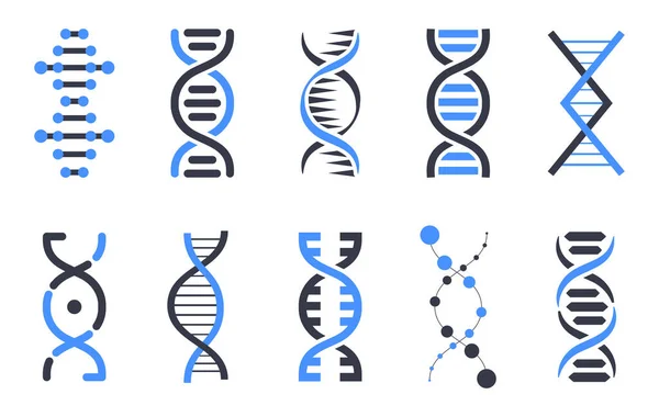 Coleção Ícones Dna Símbolo Cromossómico Humano Elementos Projeto Vetorial — Vetor de Stock