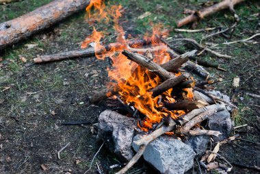 Bir orman yangını ve rüzgarla savrulan parlak, güçlü bir alev.