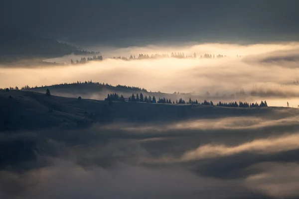 Neblige Morgenlandschaft Über Dem Dorf Bucovina Sonnenaufgang Über Den Nebligen — Stockfoto