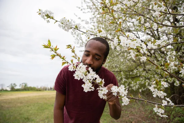 Африканський Хлопчик Пахне Вишневим Цвітом Весна Рослини Цвітуть — стокове фото