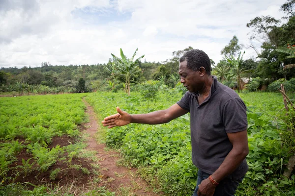 Afrikai Farmer Répaföldjén — Stock Fotó