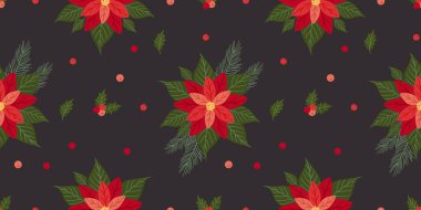 Noelde Poinsettia çiçekleri, Holly bitkisi, kırmızı böğürtlen ve siyah arka planda köknar dalları. Kumaş, ambalaj kağıdı, duvar kağıdı, tekstil için klasik Xmas çiçeği baskısı.