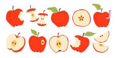 Kırmızı elma seti, bütün, ısırılmış, yarıya bölünmüş ve dilimlenmiş meyveler. Taze ve sağlıklı yiyecek koleksiyonu, sonbahar hasadı, beslenme temaları ve okul tasarımları için ideal. Düz vektör çizimi beyaz arkaplanda izole edildi.