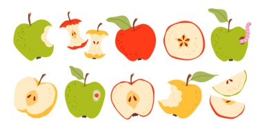 Elma seti kırmızı, sarı ve yeşildir, bütün, ısırılmış, yarıya bölünmüş ve dilimlenmiş meyveler. Taze ve sağlıklı yiyecek koleksiyonu, sonbahar hasadı, beslenme temaları ve okul tasarımları için ideal. Düz vektör çizimi beyaz arkaplanda izole edildi.