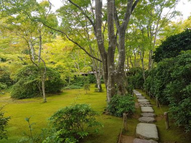 Sonbaharda tipik Japon bahçesi.