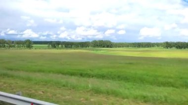The view from the car window to the green fields and forests, the sky with clouds. Cows graze in the meadow