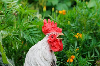 garden figure rooster on the background of green plants clipart