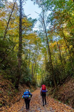 Sonbaharda Smokies 'de sırt çantasıyla