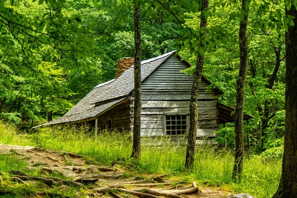 Bud Ogle Cabin Sur Roaring Fork Motor Nature Trail — Photo