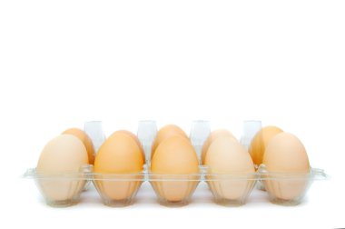 plastik tepsi içinde yumurta