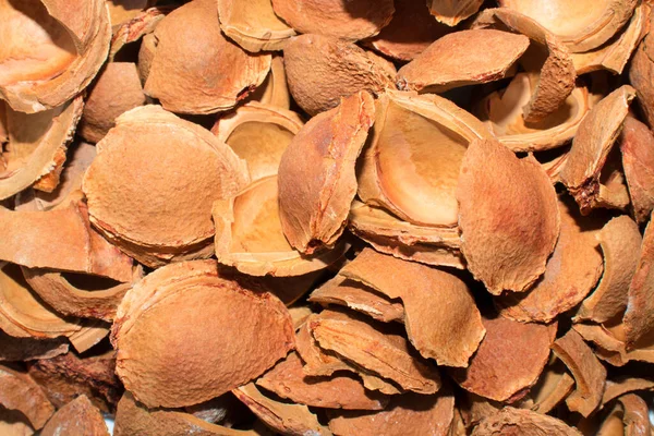 Almond peel close up for natural background