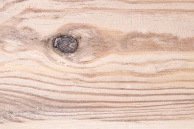 Light wood texture, close up