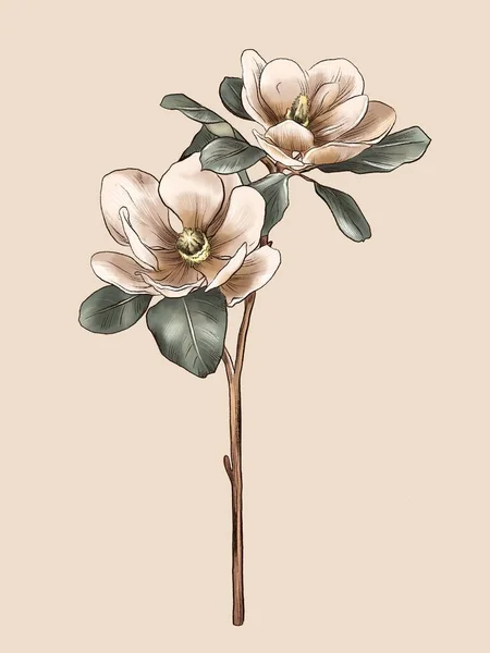 Akvarell blomma vintage, vacker, känslig. Royaltyfria Stockfoton