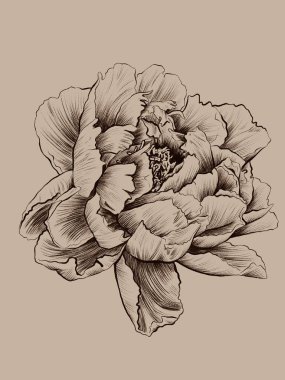 Suluboya çiçek mahsulü, güzel, narin.