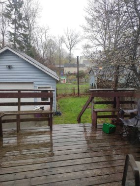 Halifax gölünde güneşli bir gün