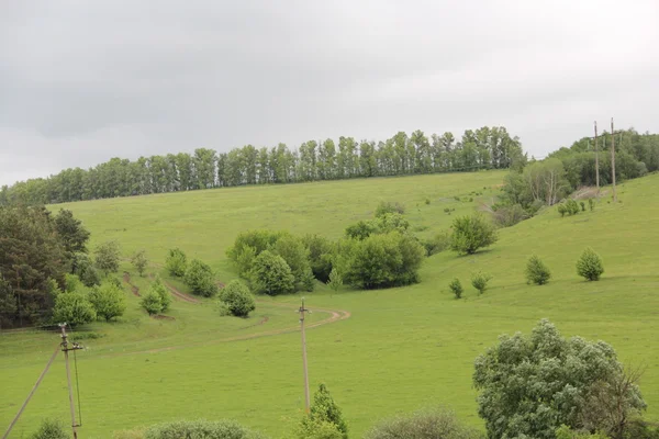 Campo — Fotografia de Stock