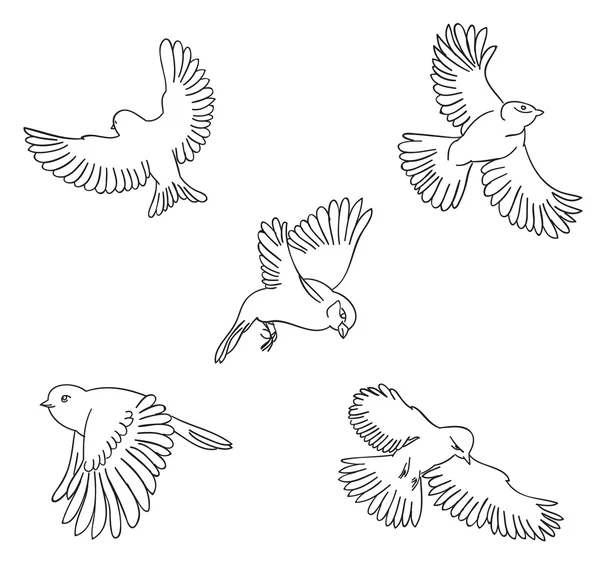 Ensemble de croquis d'oiseaux volants . — Image vectorielle