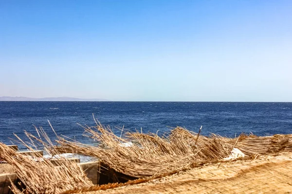 Ägypten Sinai Halbinsel 2015 Strand Roten Meer — Stockfoto