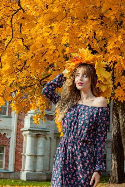 Schöne Mädchen Mit Herbstblättern Oktober Fotos Vom Herbst — Stockfoto