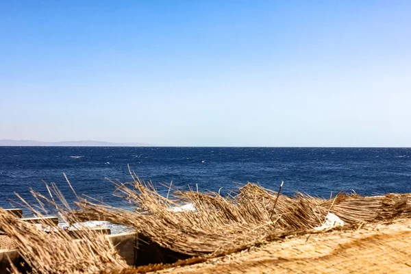 Ägypten Sinai Halbinsel 2015 Strand Roten Meer — Stockfoto