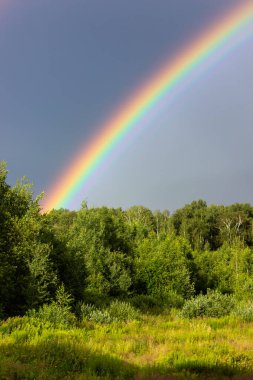 Yazın gökkuşağı, karışık orman, bulutlu gökyüzü ve açık gökkuşağı renkleri, orman yolu. Doğa manzarası. Yağmurdan sonra gökkuşağı renkleri. Yağmur bulutları.
