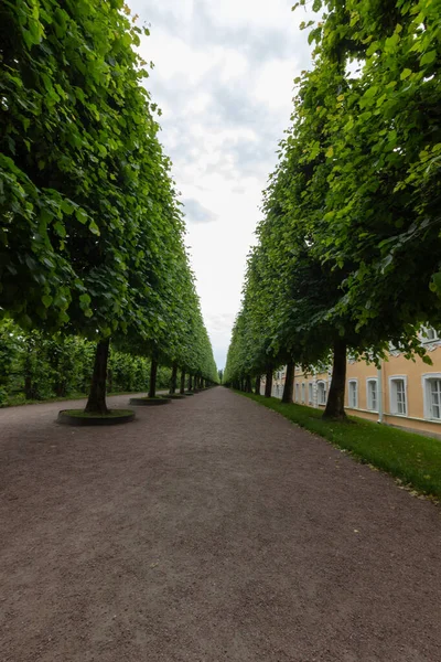 Avenue of beautiful green spaces. The road through the forest. Parks of Russia.