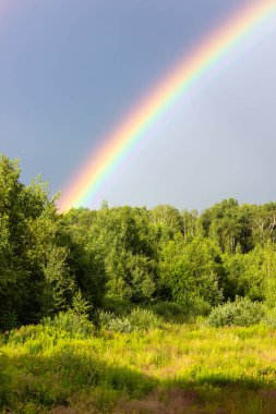 Yazın gökkuşağı, karışık orman, bulutlu gökyüzü ve açık gökkuşağı renkleri, orman yolu. Doğa manzarası. Yağmurdan sonra gökkuşağı renkleri. Yağmur bulutları.