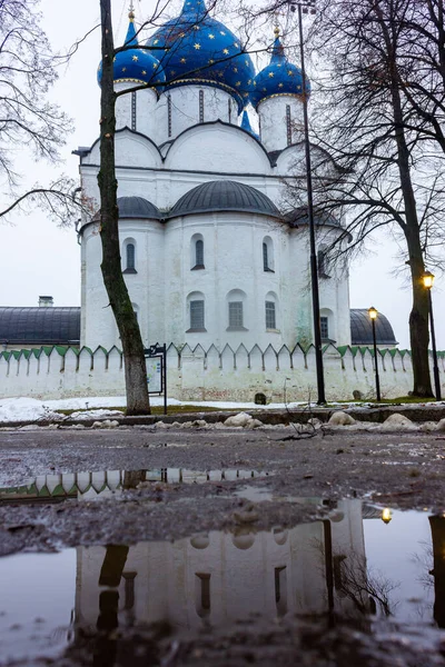 Rusland Maagd Maria Kathedraal Van Suzdal Tussen Bomen Avond — Stockfoto
