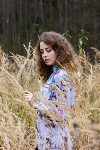 Krásná Dívka Pozadí Temného Lesa Suché Mezi Bylinkami Žena Šatech — Stock fotografie