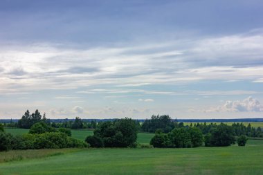 Baharın güzel havasında ağaçlarla dolu yeşil bir tarla manzarası.