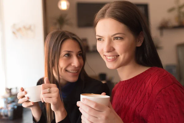 Jonge vrouwelijke vrienden in in de coffeeshop — Stockfoto