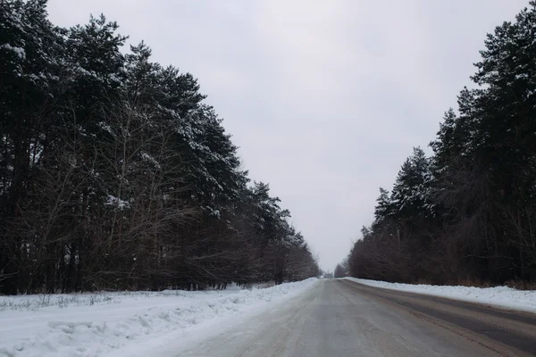 Krajobraz drogi zimowej — Zdjęcie stockowe