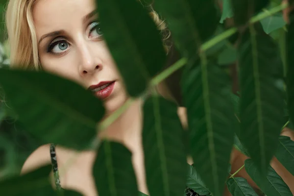 Woman posing in green leaves Stock Image