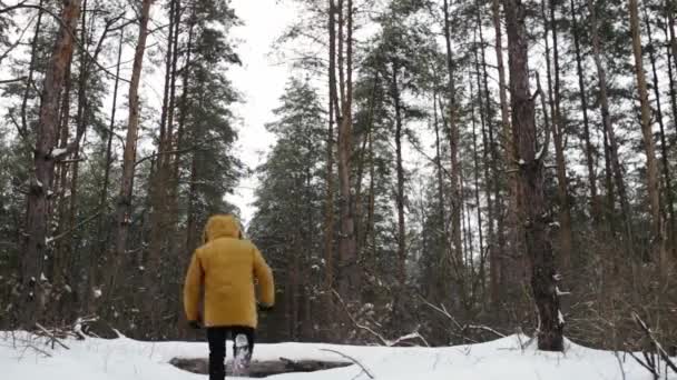 Mann läuft im schneebedeckten Wald und springt über einen Baumstamm. — Stockvideo