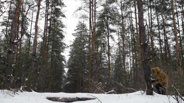Mann geht auf einen Baumstamm im schneebedeckten Wald und fällt um — Stockvideo