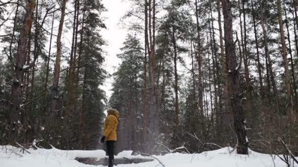 Mann im Wald spazieren und Spaß haben. Kiefern im Winter schneebedeckten Wald. Umkehr. — Stockvideo
