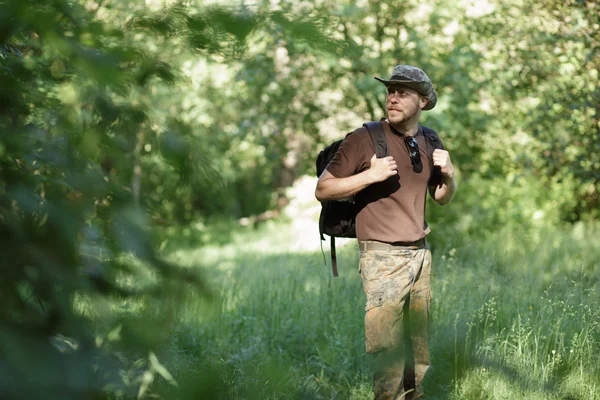 Мужской турист, гуляющий один в лесу — стоковое фото