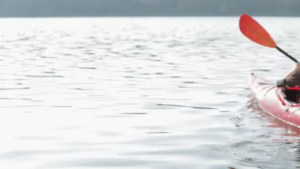 Человек на лодке в красном каноэ в реке в летний день — стоковое видео