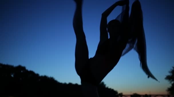 Kecsesen nő sziluettje a twilight tánc szeles repülő ruhával — Stock videók