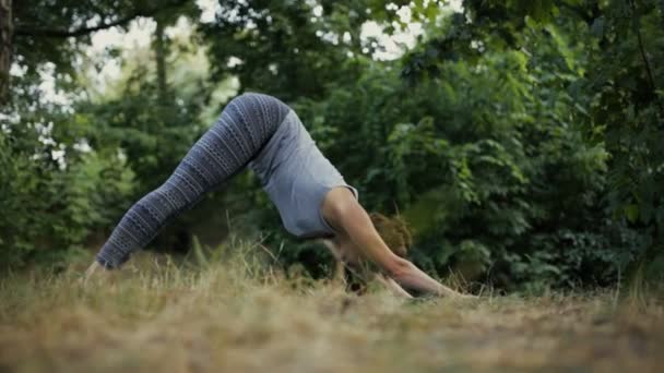 Sportig tjej är engagerad i yoga på park — Stockvideo