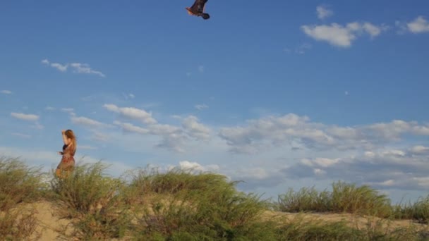 Mujer mantenga volando cometa en el campo en el fondo del cielo — Vídeos de Stock