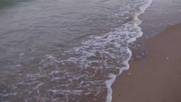 Sea waves close up, stedicam shot — Stock Video