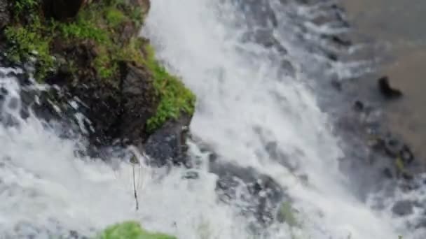 Primo piano cascata in natura con erba e pietre . — Video Stock