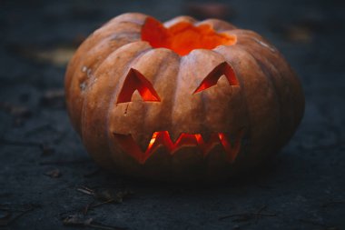 Balkabağı balkabağı yerde, cadılar bayramı arka planı